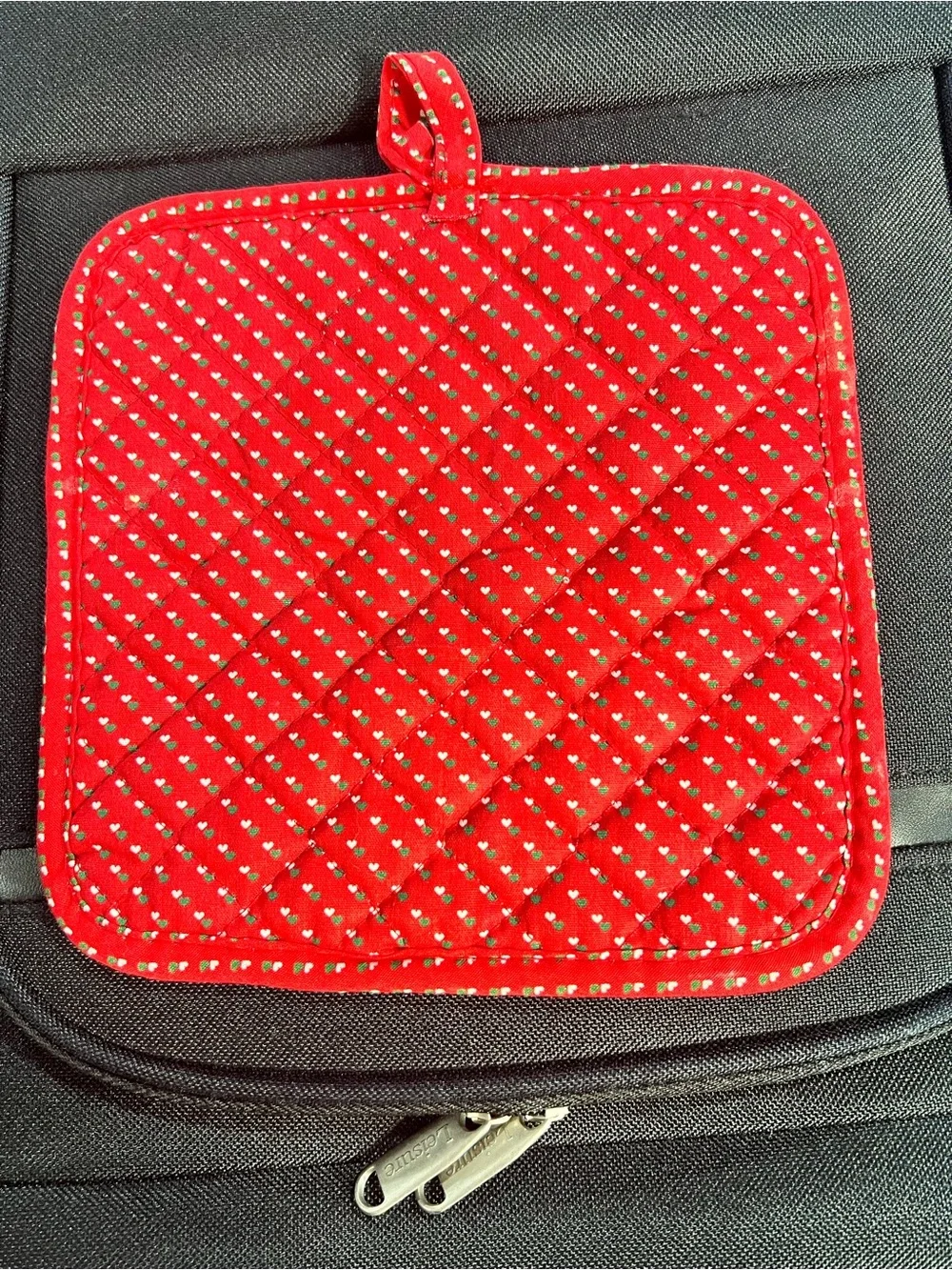 Festive Duck/Goose Print Quilted Pot Holder - Red & White